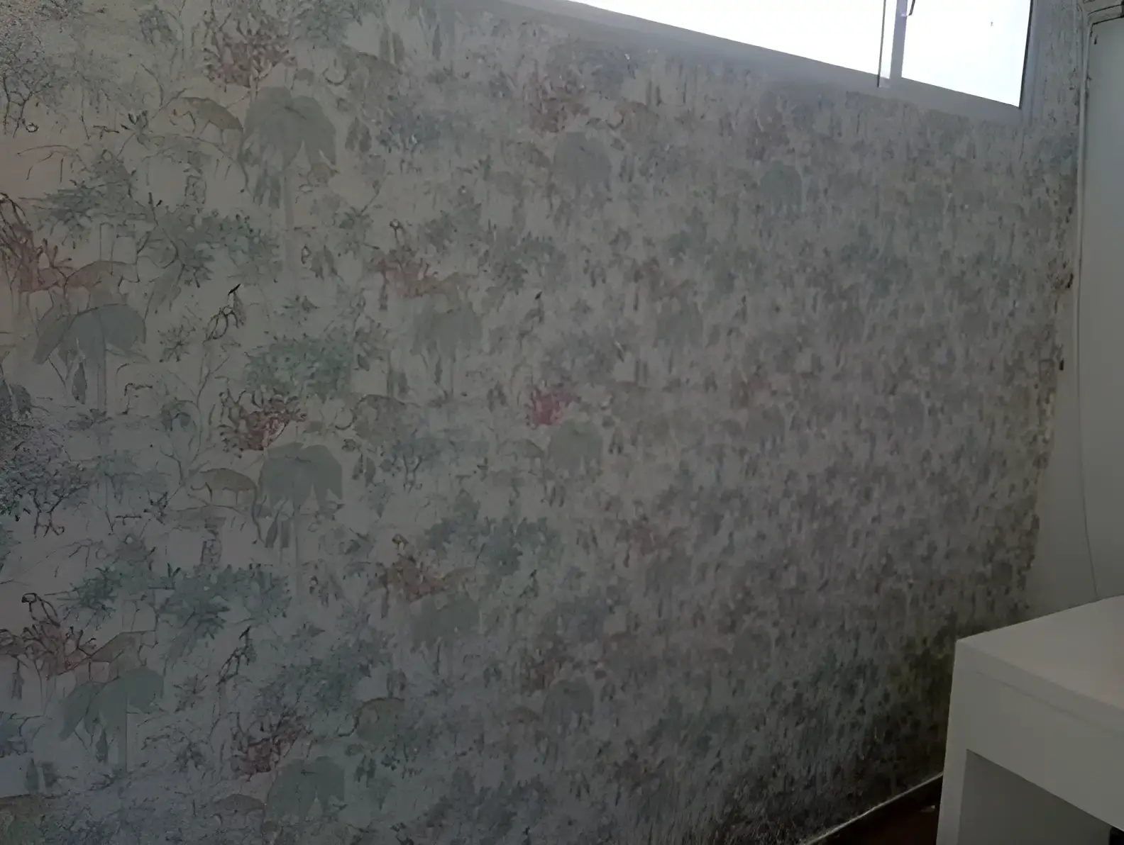 Los Pintores Badalona colocando papel pintado decorativo en pared completa de habitación